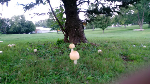 Public Golf Course «J.C. Martin Golf Course», reviews and photos, 652 Shunpike Rd, Erie, PA 16508, USA