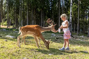 Kid's farm Hunderfossen image