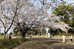 Shisui Park image