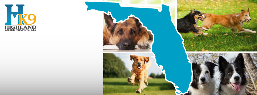 Highland Canine Training - Tampa