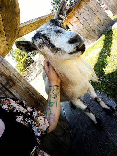 Farm «The Belmont Goats», reviews and photos, 9330 SE Harold St, Portland, OR 97266, USA