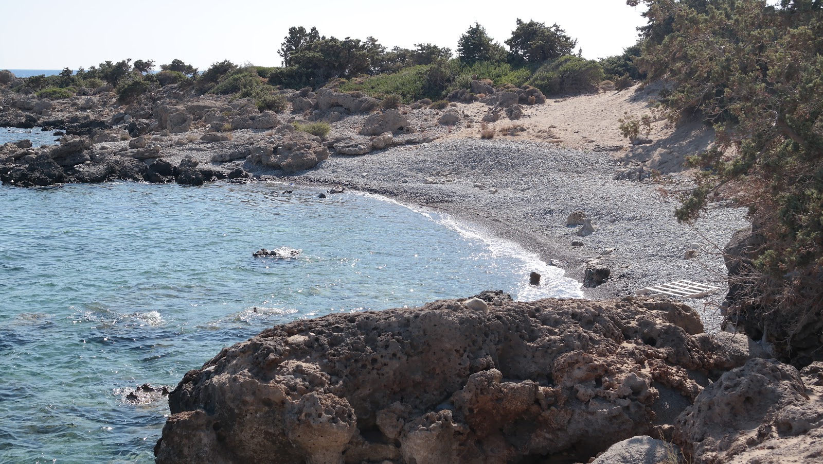 Foto av Wild Beach med något ren nivå av renlighet