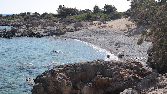 Wild Beach