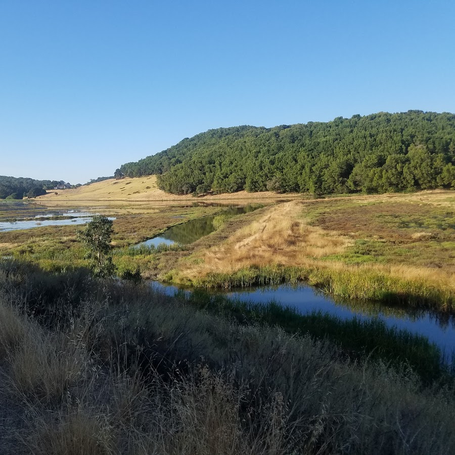 Rush Creek Preserve
