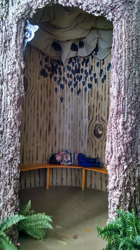 Environmental Organization «VINS Nature Center», reviews and photos, 6565 Woodstock Rd, Quechee, VT 05059, USA