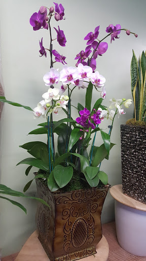 Florist «Garden Grove Florist», reviews and photos, 9710 Garden Grove Blvd # C, Garden Grove, CA 92844, USA