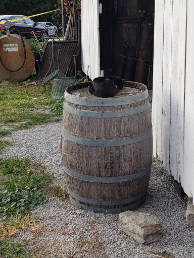 Winery «Smith-Berry Winery», reviews and photos, 855 Drennon Rd, New Castle, KY 40050, USA