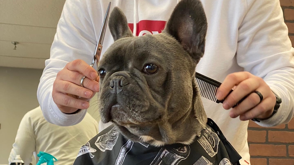 Headliners Barbershop 06437