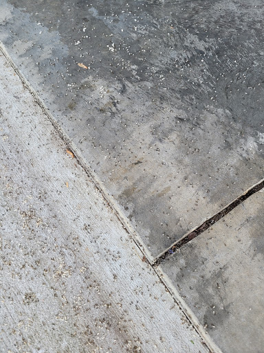 Pest Control Service «BioGuard Pest Control», reviews and photos