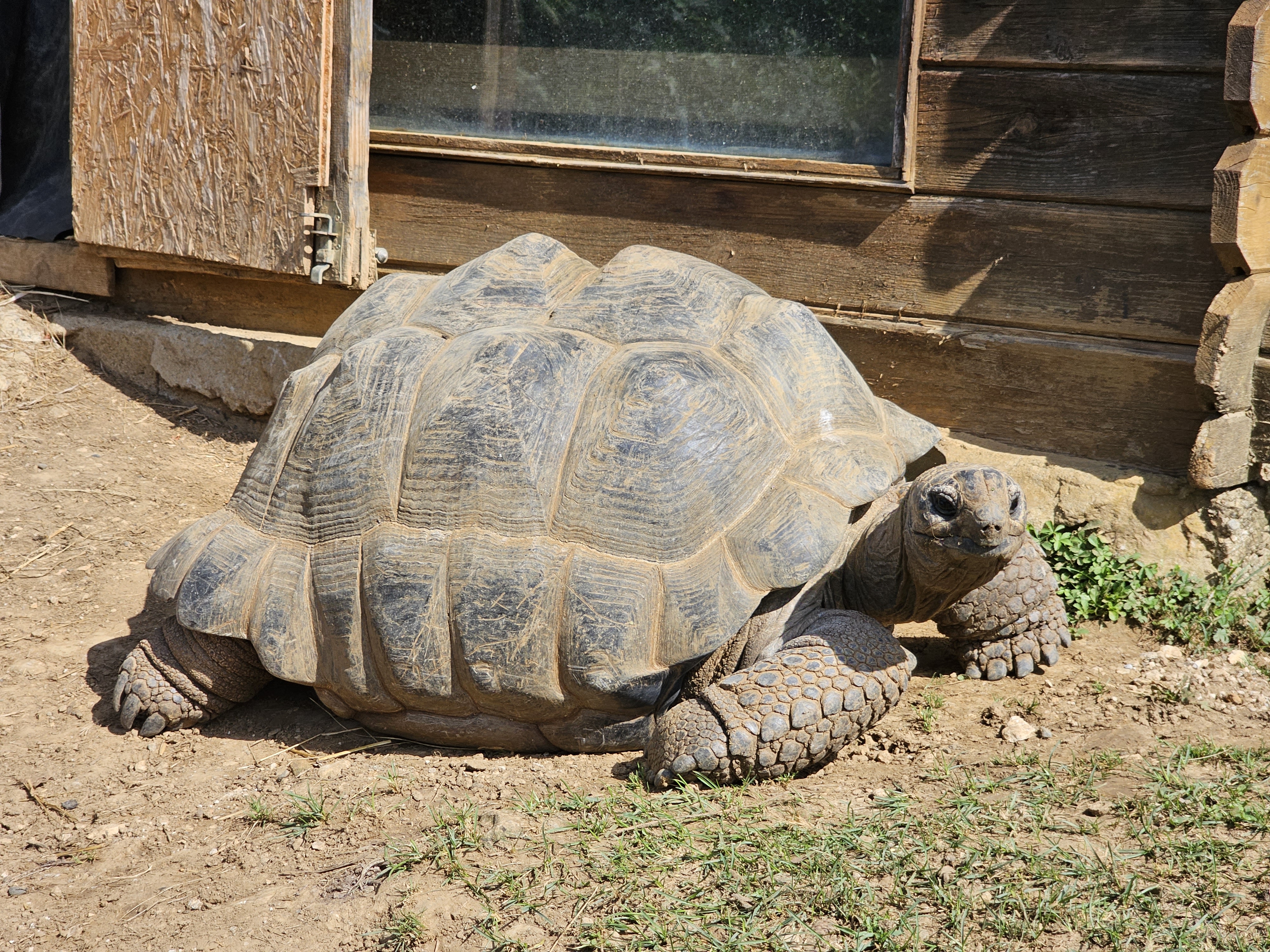 Photo n° 4 de l'avis de Padawan. fait le 17/07/2023 à 20:11