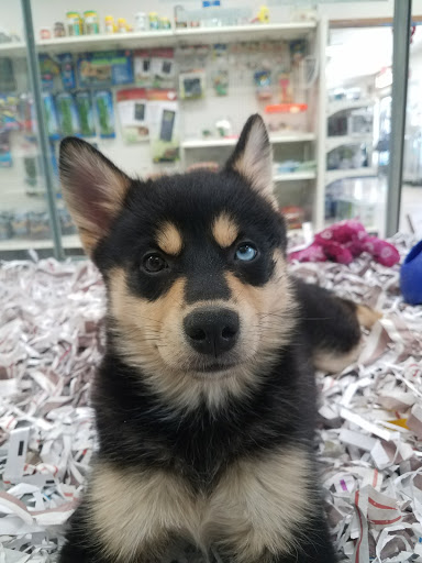 Pet Store «Park Avenue Birds & Pet Supply», reviews and photos, 120 W Center St, West Bridgewater, MA 02379, USA