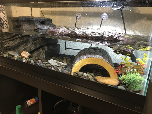 Pet Store «Incredible Pets Inc», reviews and photos, 2255 N Wickham Rd # 102, Melbourne, FL 32935, USA