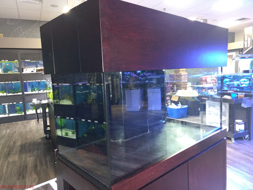 Tropical Fish Store «Aquarium Artisans», reviews and photos, 8005 Plainfield Rd #11, Cincinnati, OH 45236, USA