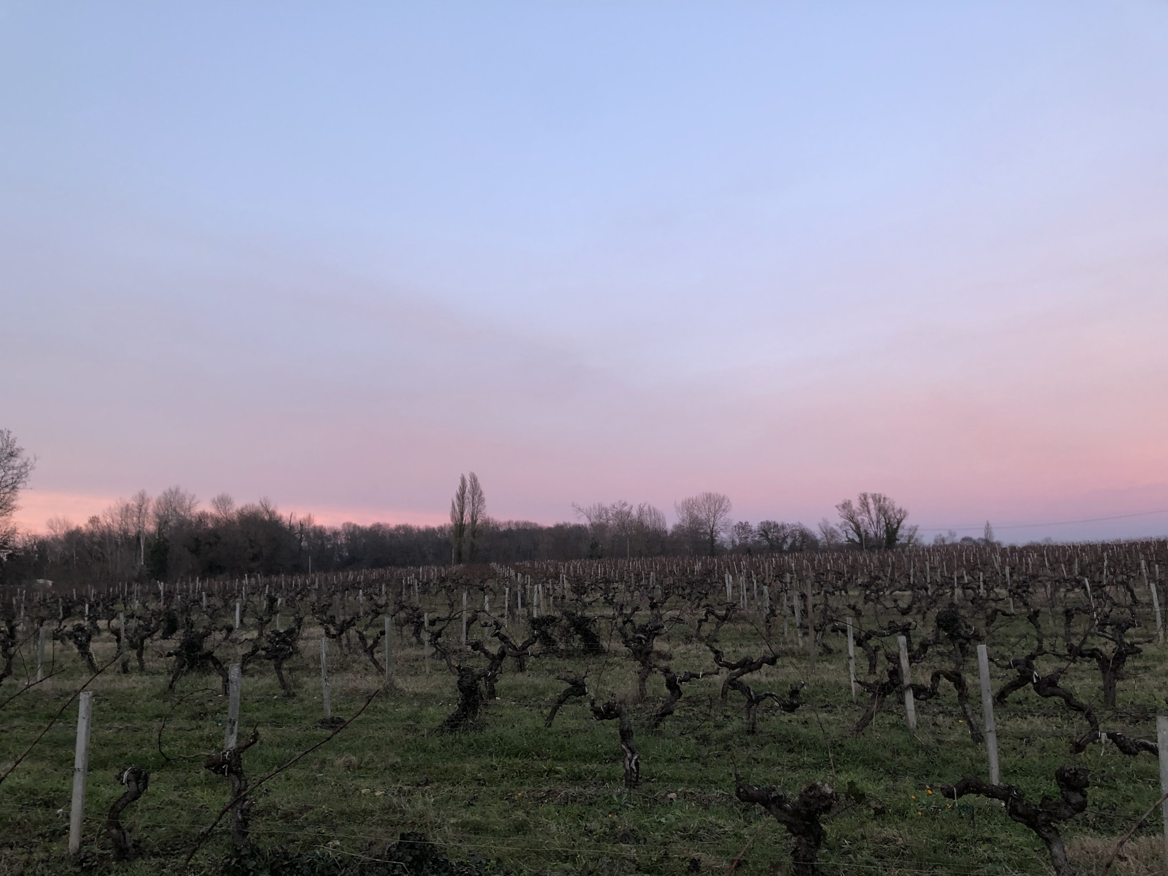 Photo n° 5 de l'avis de Jacquelin.c fait le 12/12/2018 à 10:31