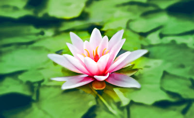 La Rochelle Yoga & Coaching à Salles-sur-Mer