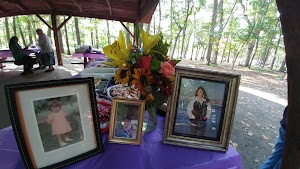 Hillandale Park - photo 81