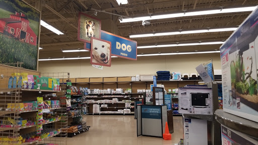 Pet Supply Store «Petco Animal Supplies», reviews and photos, 1985 N Pebble Creek Pkwy, Goodyear, AZ 85395, USA