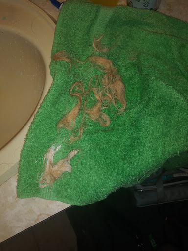 Hair Salon «Fantastic Sams Cut & Color», reviews and photos, 440 E Burleigh Blvd, Tavares, FL 32778, USA