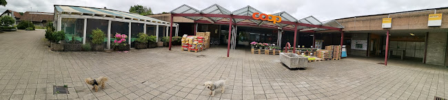 Coop Supermarkt Rothrist - Oftringen