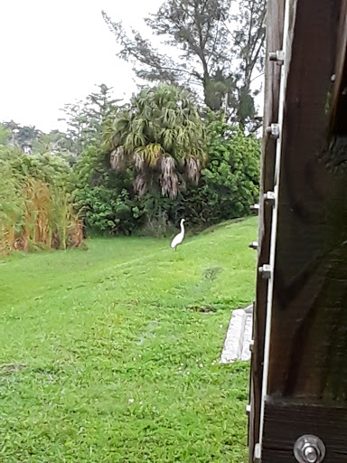 Nature Preserve «Karen T. Marcus Sandhill Crane Access Park», reviews and photos, 8175 PGA Boulevard, Palm Beach Gardens, FL 33418, USA