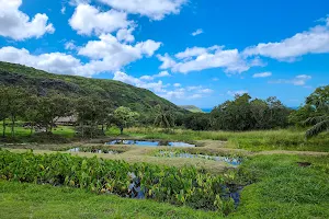 Kaʻala Farm Inc image