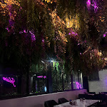 Photo n° 2 de l'avis de Myriam.A fait le 11/10/2023 à 20:10 pour Villa Medusa à Saint-Laurent-du-Var