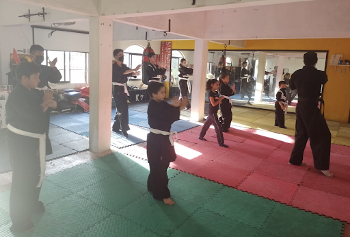 Escuela de karate Culiacán Rosales