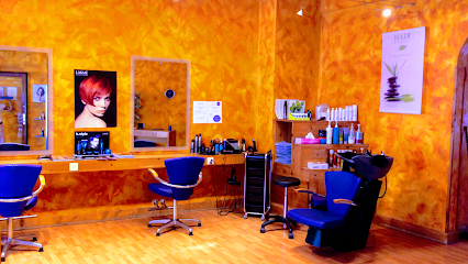Salon De Coiffure L'orange Hair