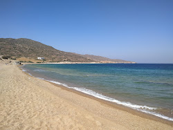 Paralia Kalamos'in fotoğrafı vahşi alan