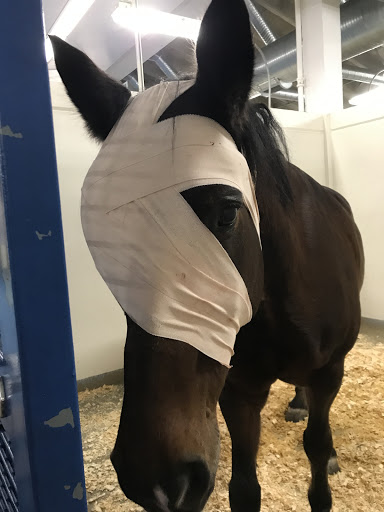 Country Care Animal Hospital, PC image