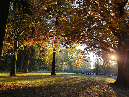 Park «Oregon Park», reviews and photos, NE Oregon St & NE 30th Ave, Portland, OR 97232, USA