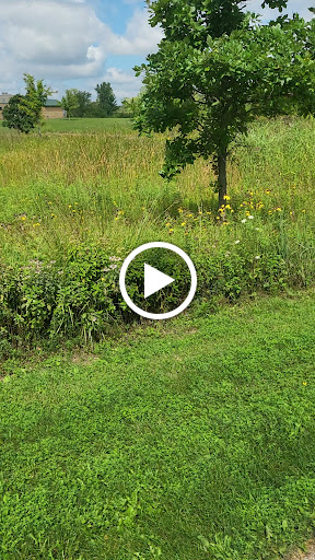 Nature Preserve «Greenbelt Forest Preserve», reviews and photos, 1110 S Green Bay Rd, North Chicago, IL 60035, USA