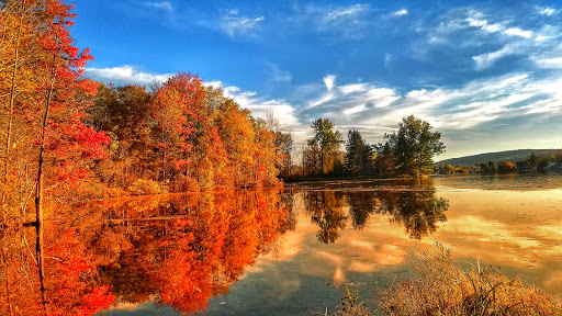 Performing Arts Theater «Cortland Repertory Theatre», reviews and photos, 6799 Little York Lake Rd, Preble, NY 13141, USA