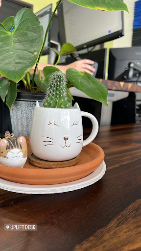 Office Furniture Store «Human Solution Office Furniture», reviews and photos, 2139 W Anderson Ln, Austin, TX 78757, USA