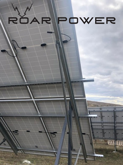 Roar Power Ltd