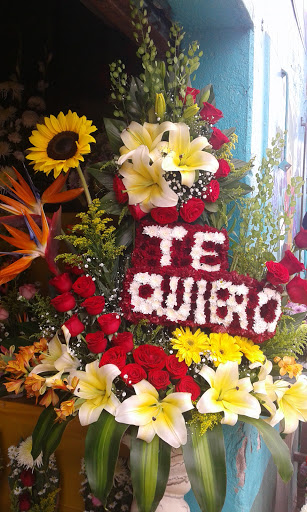 Florería La Primavera florería en  en la zona Manuel Avila Camacho