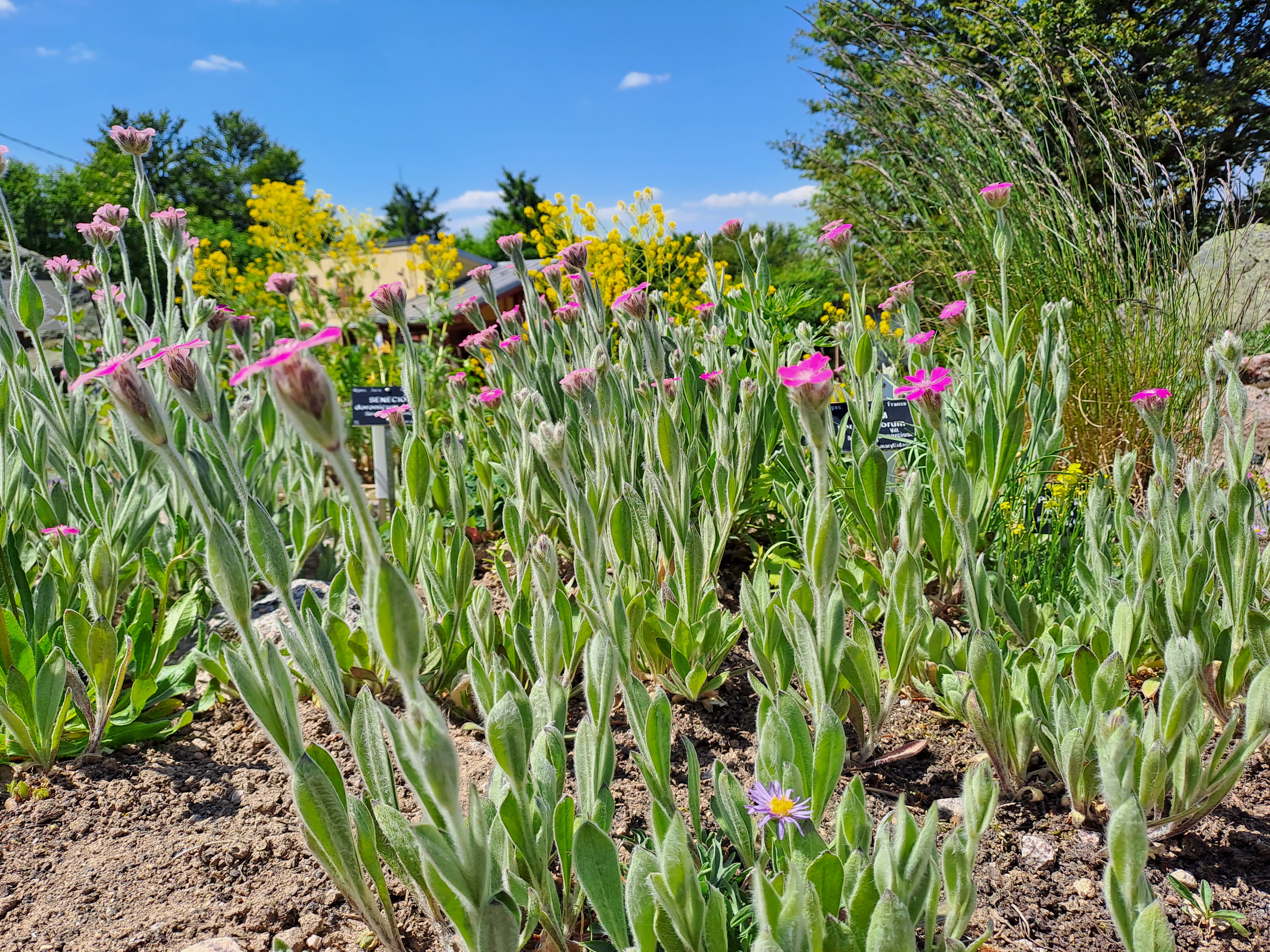 Photo n° 5 de l'avis de RAVIER.A fait le 15/06/2023 à 04:40