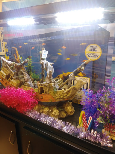 Pet Supply Store «PetSmart», reviews and photos, 3260 Stockton Hill Rd, Kingman, AZ 86409, USA