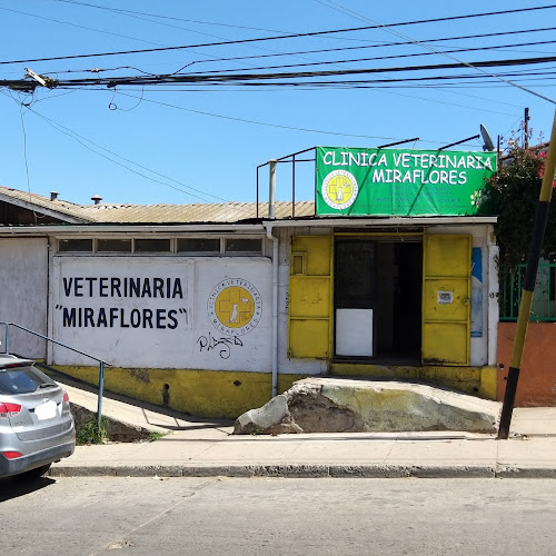Opiniones de Veterinaria Miraflores en Viña del Mar - Médico