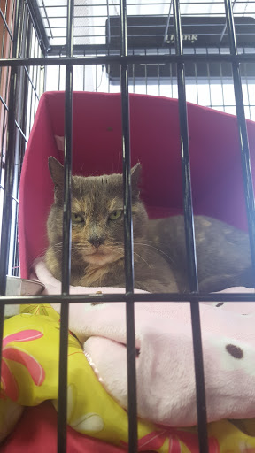 Shopping Mall «Whitemarsh Shopping Center», reviews and photos, Butler Pike, Conshohocken, PA 19428, USA