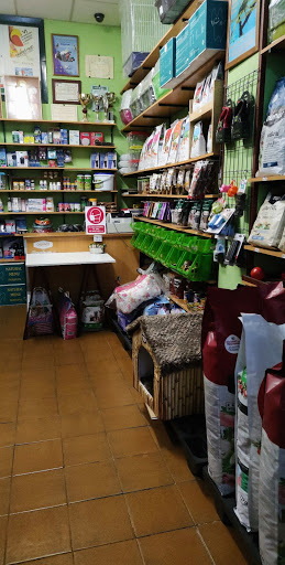 El Roble en Candás, Asturias