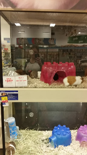 Pet Supply Store «PetSmart», reviews and photos, 3211 Peoples St, Johnson City, TN 37604, USA
