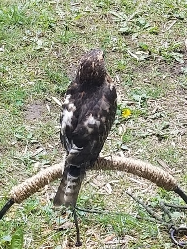 Nature Preserve «Lakeside Nature Center», reviews and photos, 4701 E Gregory Blvd, Kansas City, MO 64132, USA