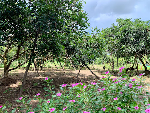 Top 20 cửa hàng play Huyện Cần Giờ Hồ Chí Minh 2022