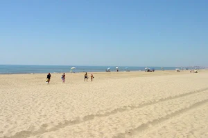Playa de Pesmar (Icona) image