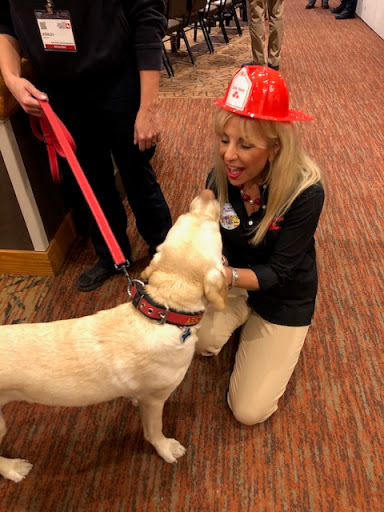 Auto Insurance Agency «Lauren Stone State Farm Insurance Agency», reviews and photos