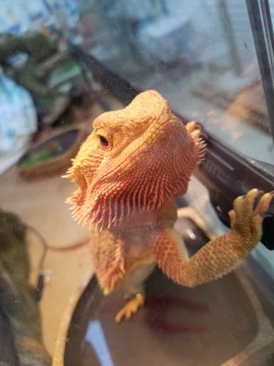 Pet Supply Store «Pet Barn», reviews and photos, 12675A NW Cornell Rd, Portland, OR 97229, USA