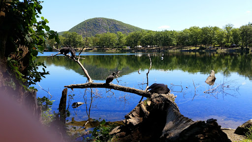 State Park «Bear Mountain State Park», reviews and photos, Route 9W North, Bear Mountain, NY 10911, USA