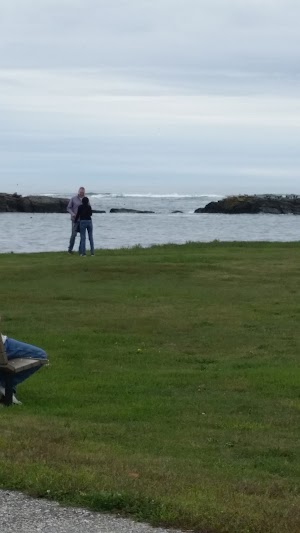 Kettle Cove - photo 66