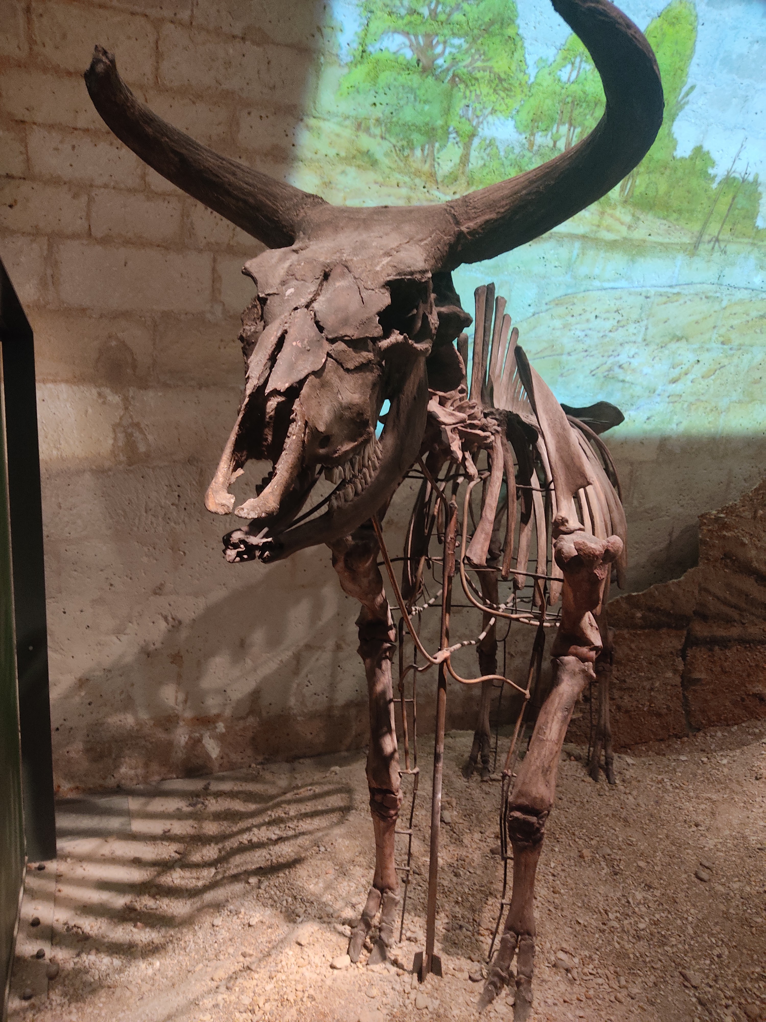 Photo n° 8 de l'avis de Francois. fait le 20/12/2023 à 15:18